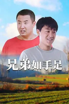 兄弟如手足 海报