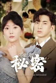 不能说的秘密 海报