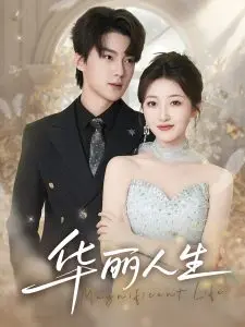 《华丽人生》：多重宇宙下的家庭温情，一场笑泪交织的人生奇旅！