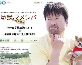 《豆柴小犬 望乡篇》：萌犬寻根之旅，笑泪交织的治愈故事，带你重温故乡的温暖